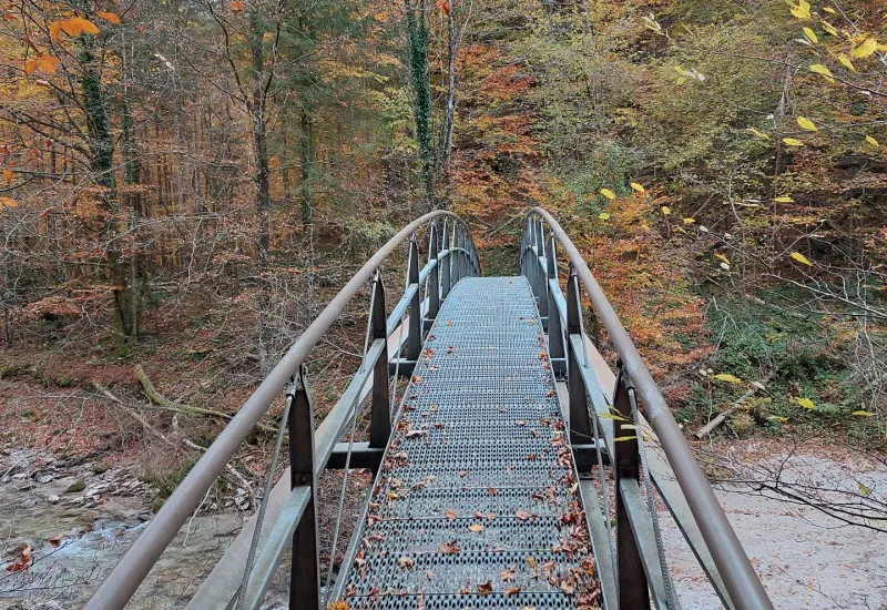 3 Fragen zum Welttag der psychischen Gesundheit